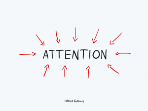 attention - what you Focus on