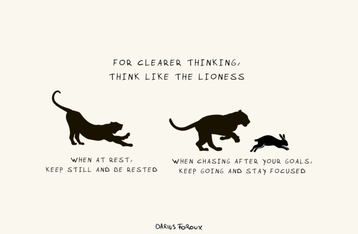 Lioness Thoughts on Thinking Better